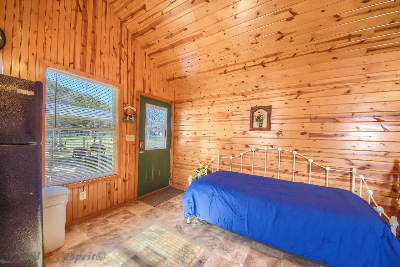 Rr 9122sf Sunflower Holiday home *