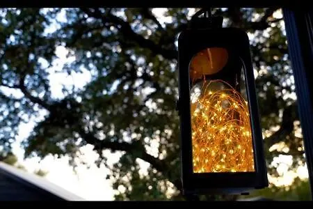 Starlight Horizon C - Yellow Rose Holiday home