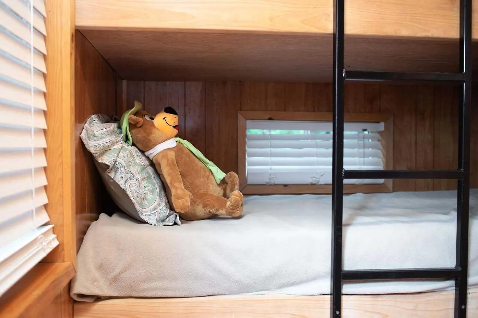 Jellystone Park Hill Country Kamp alanı