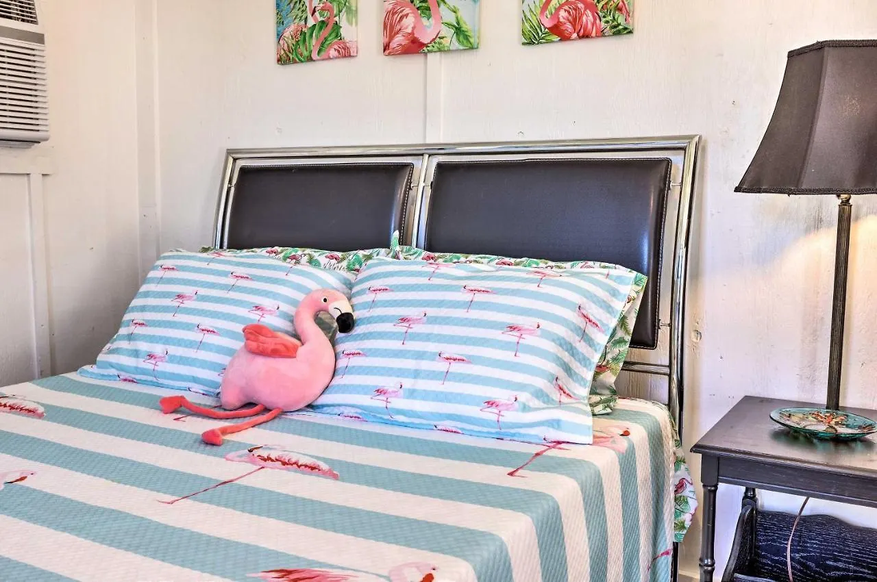 Flirty Flamingo 1 Mi To Canyon Daire *