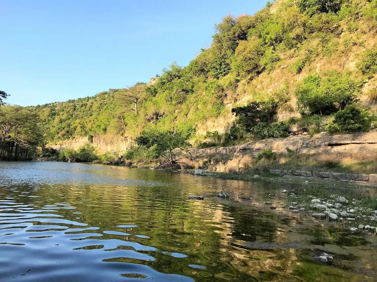 Rr 7465 Lil Kahuna * Canyon Lake