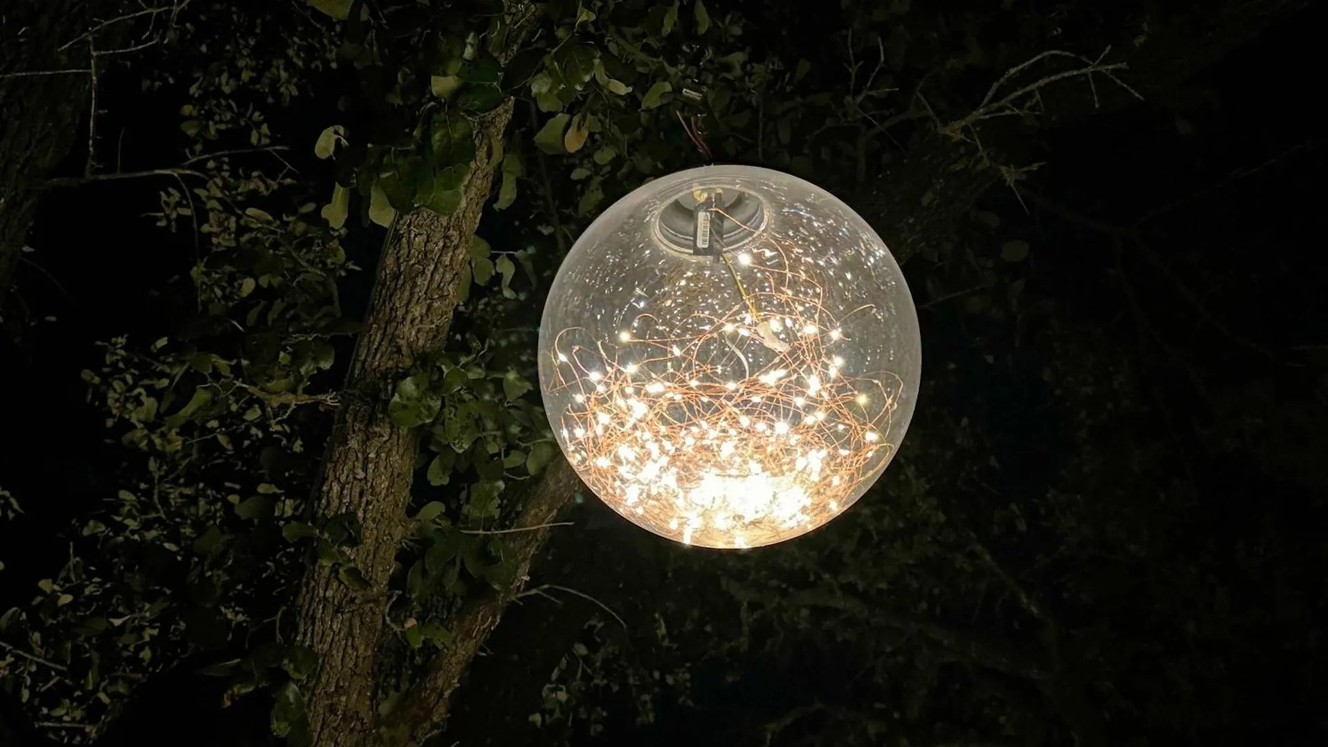 Casa vacanze Starlight Horizon A - The Armadillo